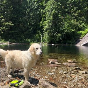 Meet your Posher, Amanda